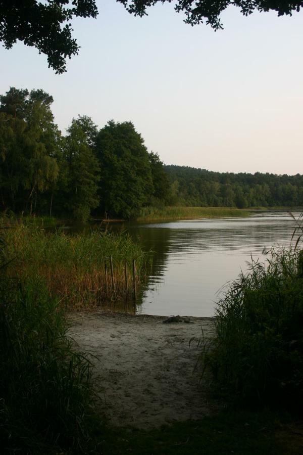 Ferienwohnung Am See 55 Bad Saarow Exteriör bild
